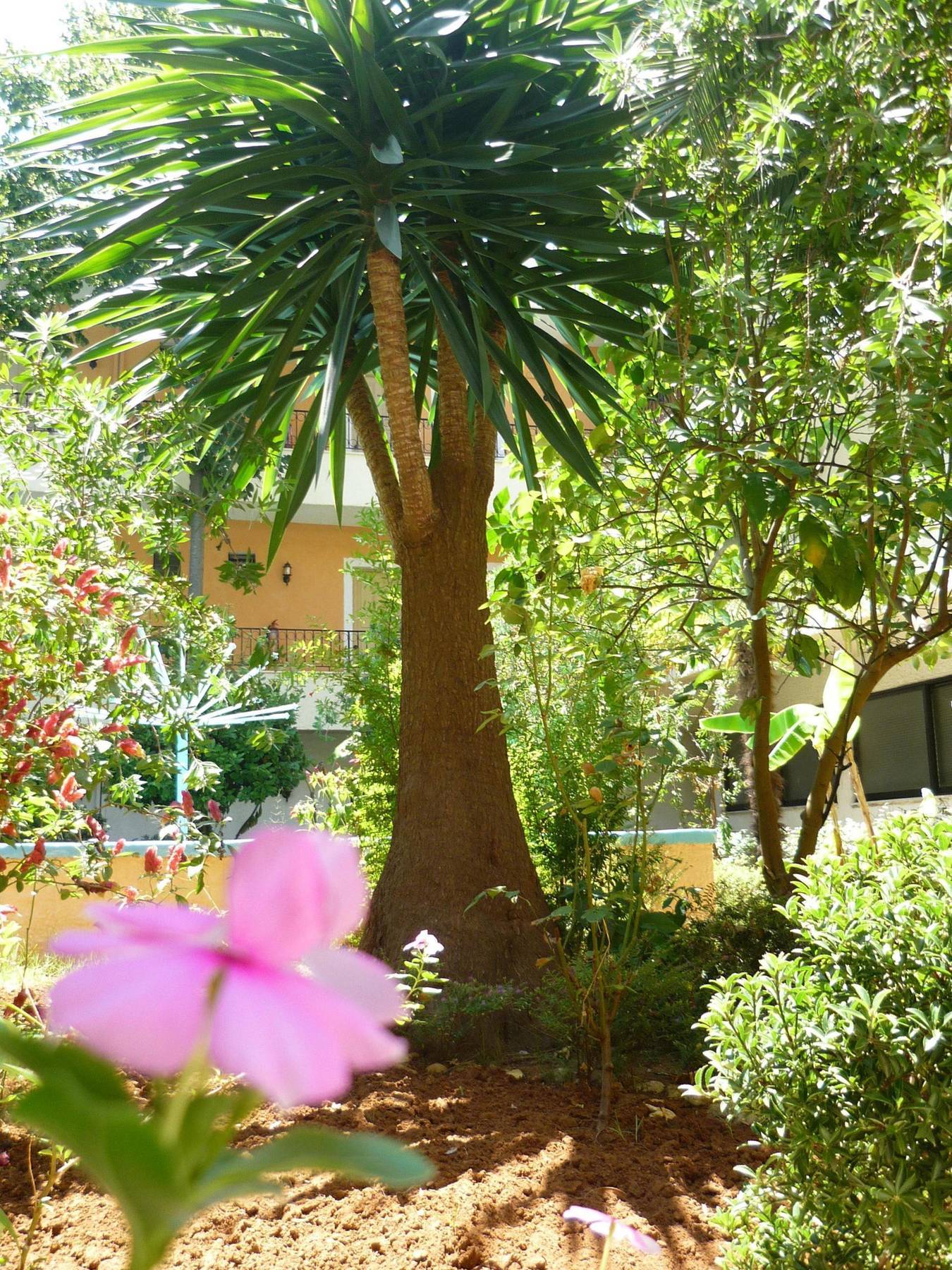 Hotel Alkionis Μωραΐτικα Εξωτερικό φωτογραφία